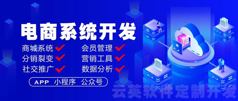 小程序开发：构建移动生态的新利器